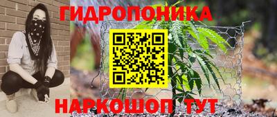 сатива Изобильный
