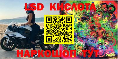 прущие крисы Ипатово