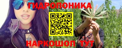 сатива Изобильный