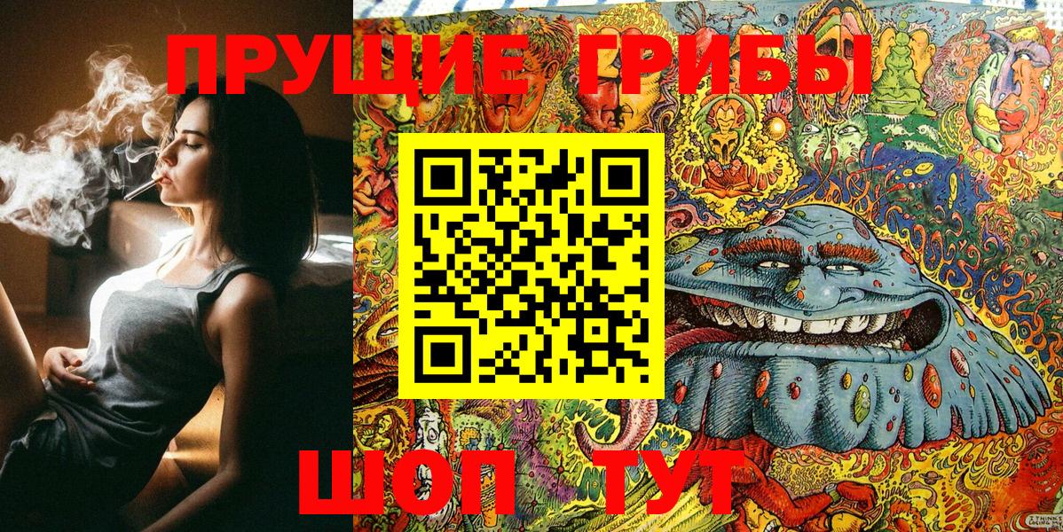 Псилоцибиновые грибы Psilocybe Кудрово