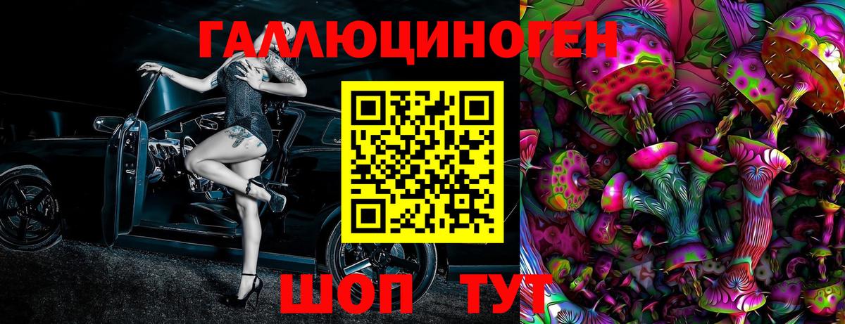 Галлюциногенные грибы MAGIC MUSHROOMS  Вход с VPN  Кудрово 
